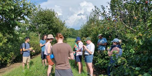 Students examining apples in a field