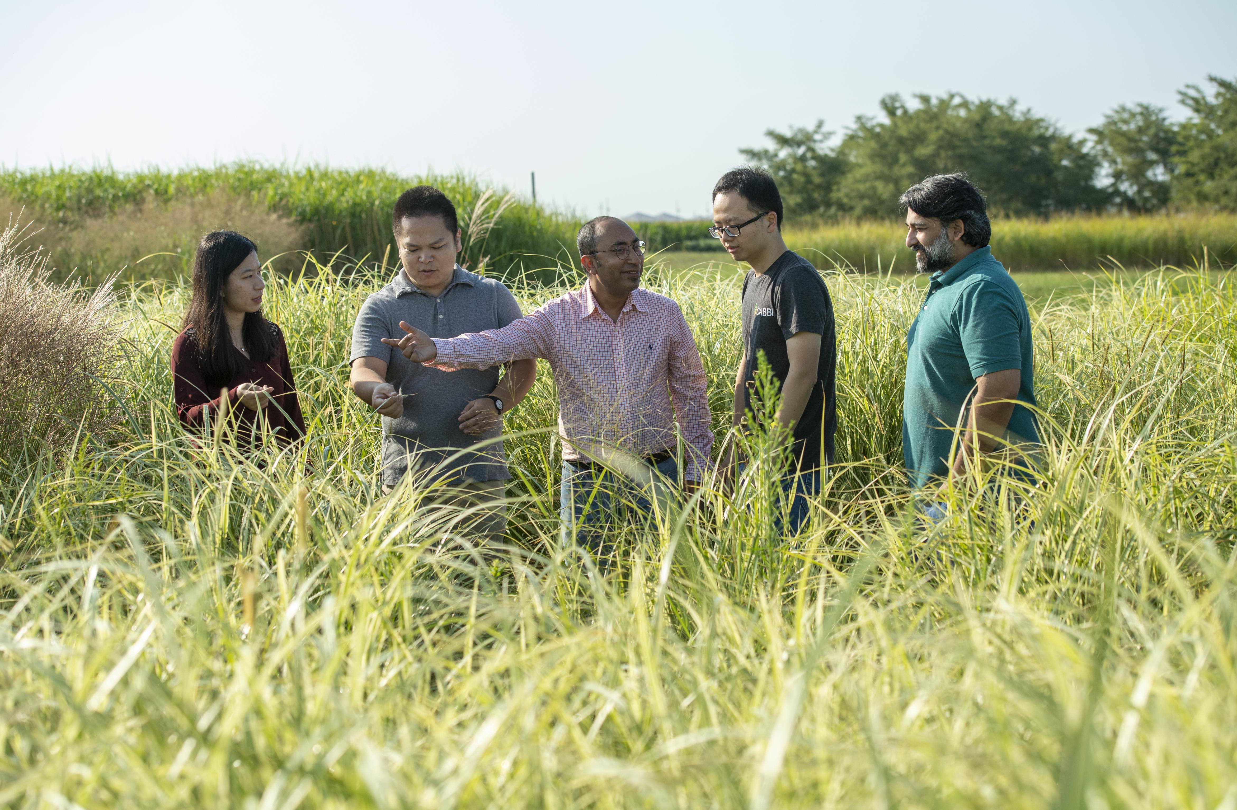 Students examining grass in a field