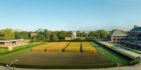 The Morrow Plots in 2016 with one of the undergraduate library entrances visible on the left.