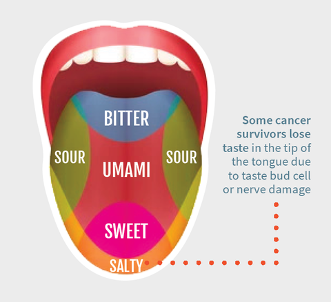 Tongue with taste bud flavors outlined.