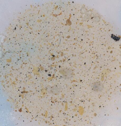 Microplastic fragments against white background