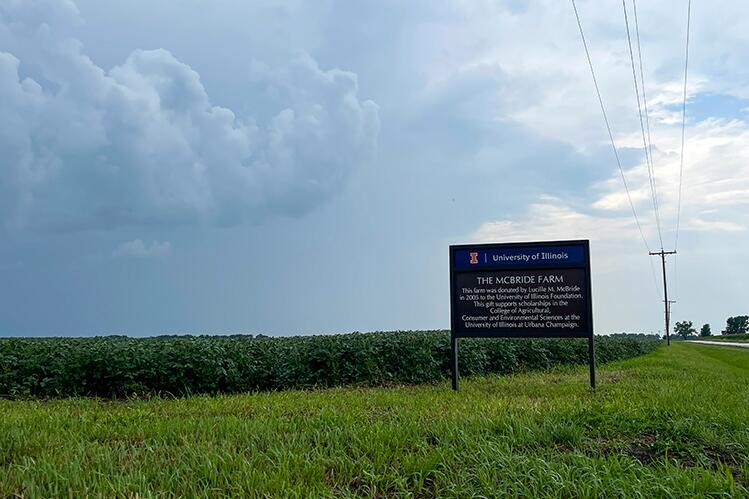 Picture of the McBride Farm sign next to a field of soybeans with clearing storm clouds overhead.