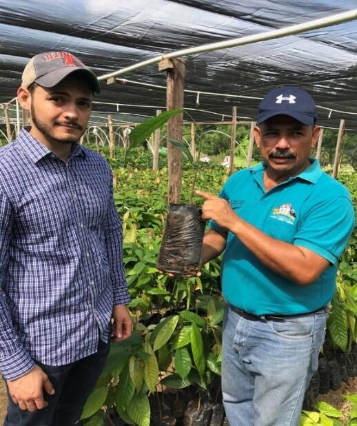 Graduate Grantee Dennis Humberto Pinto Padilla (FSHN) works to optimize chocolate production in Honduras