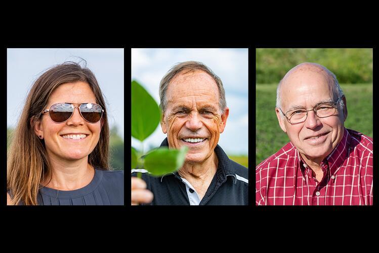 Headshots of lead RIPE researchers: Elizabeth Ainsworth, Stephen Long, and Don Ort