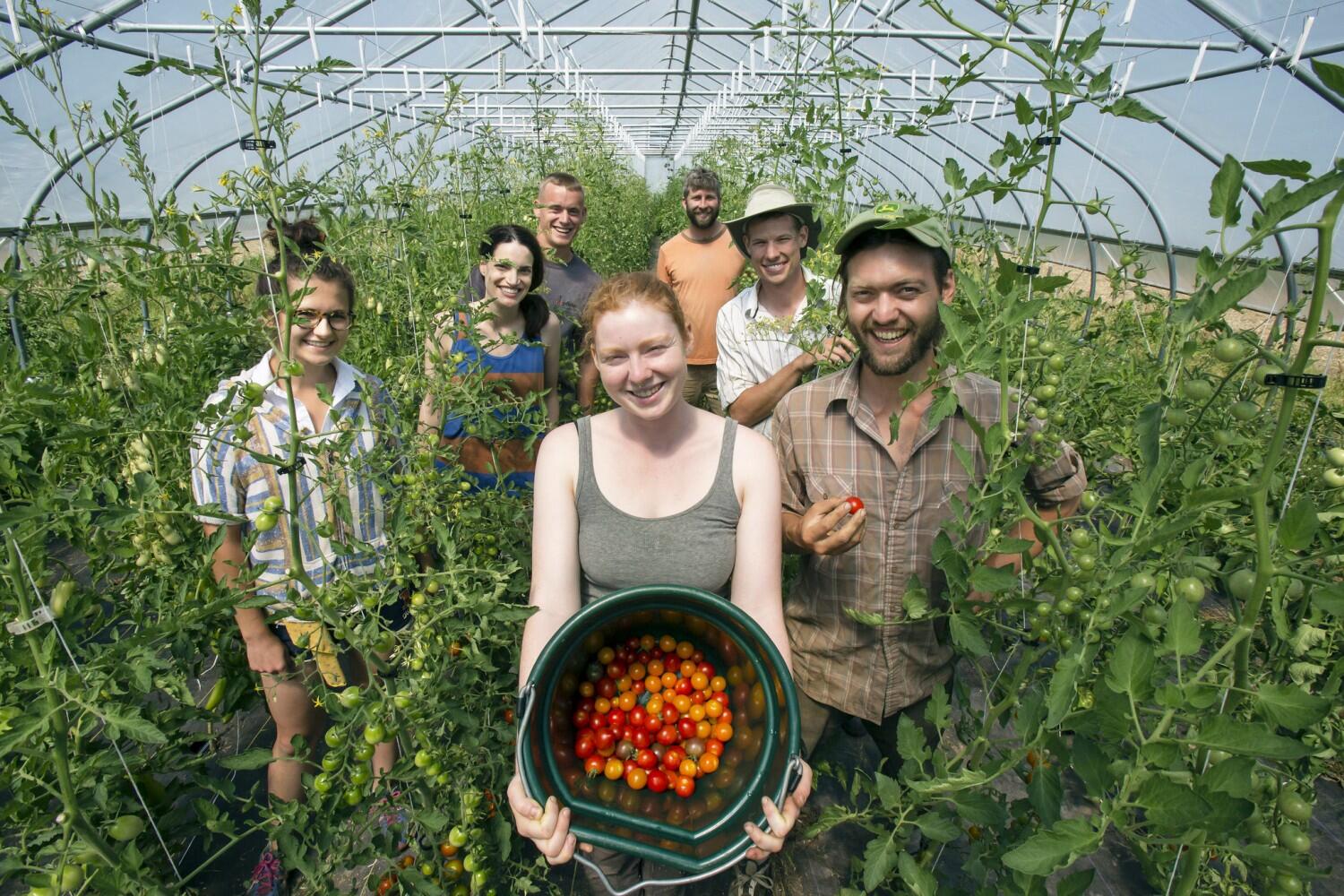 New U of I farm apprenticeship turns out veggies and well-equipped farmers