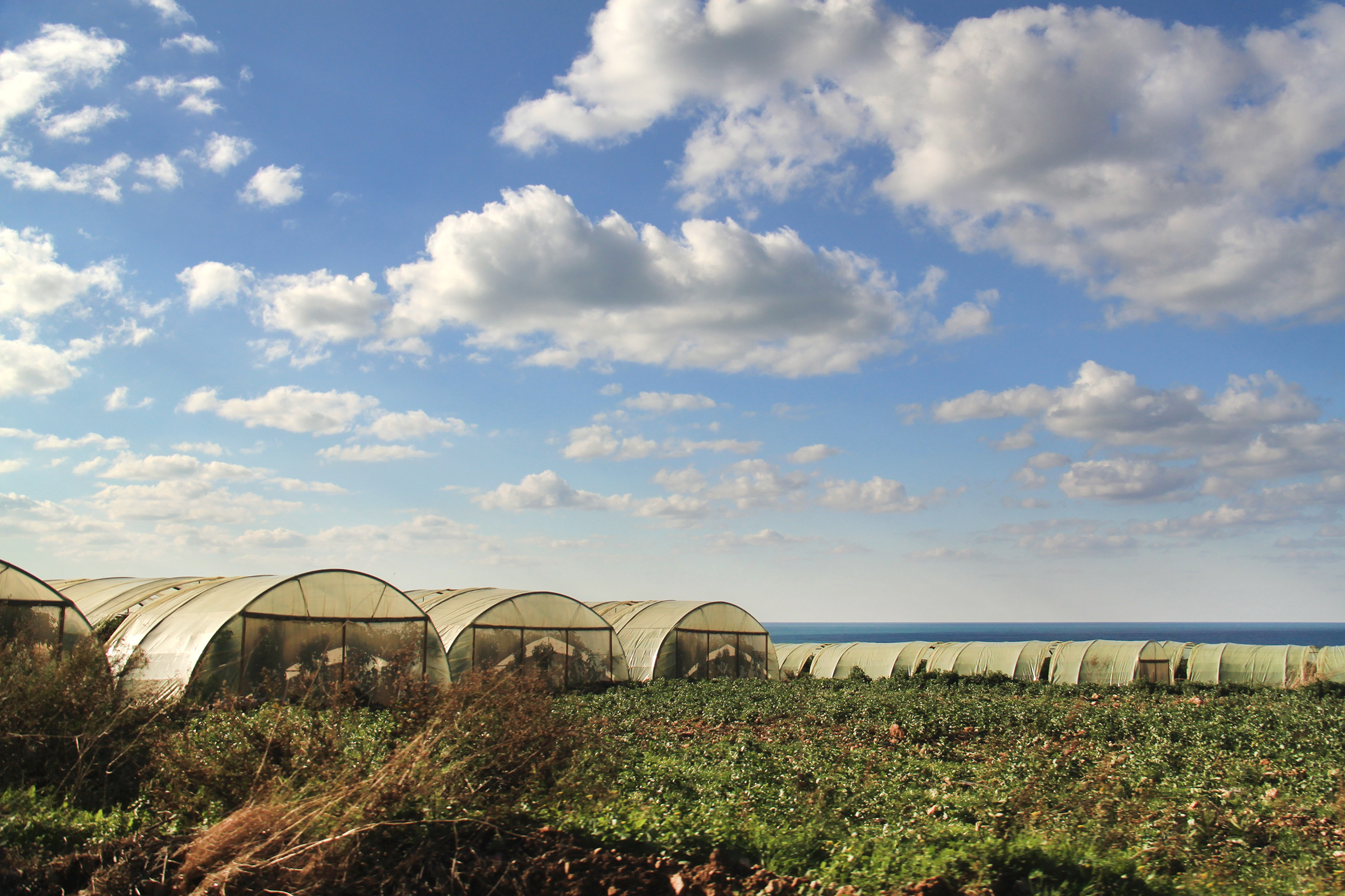 ag greenhouses