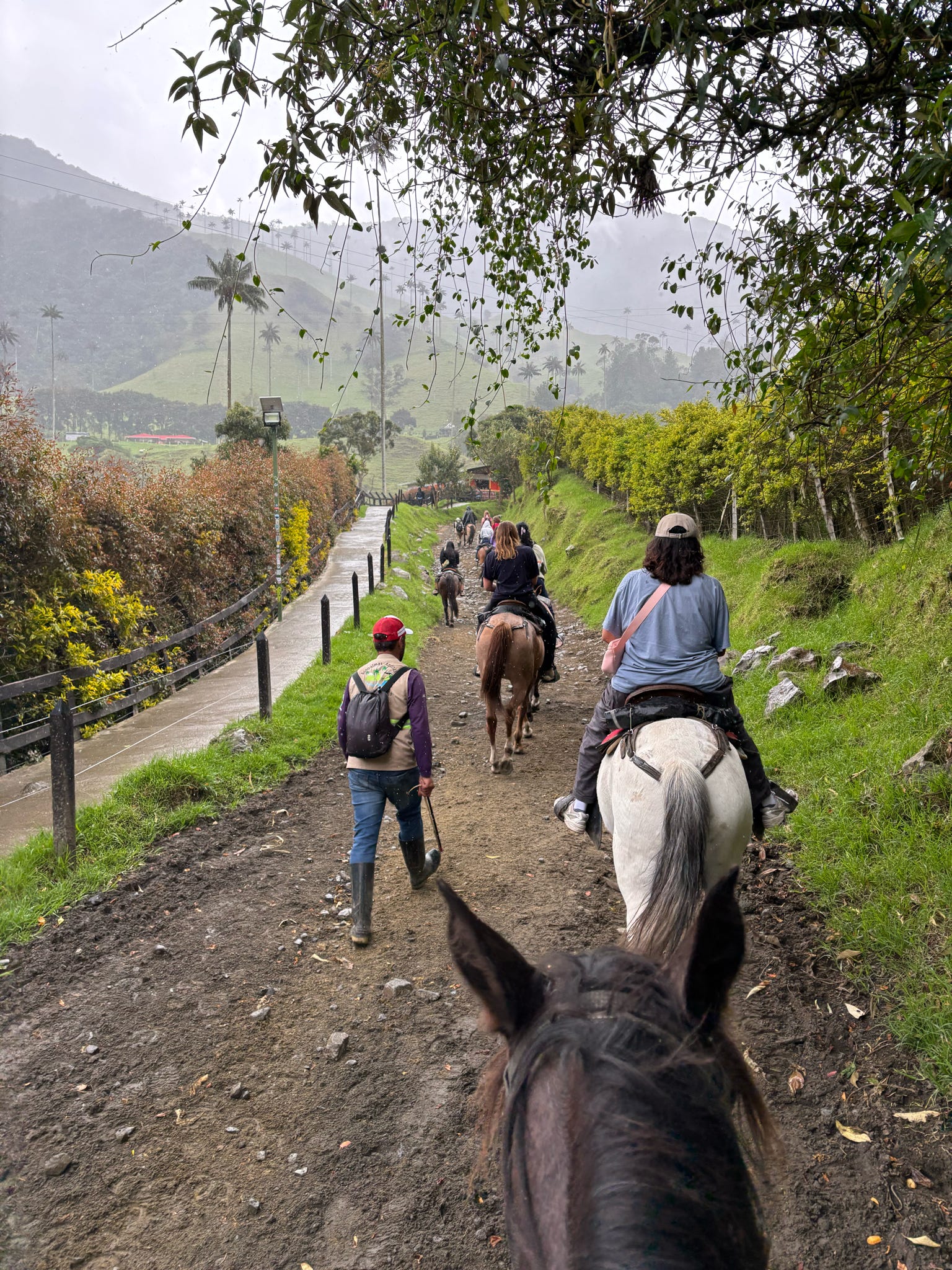 horseback riding towards mountains