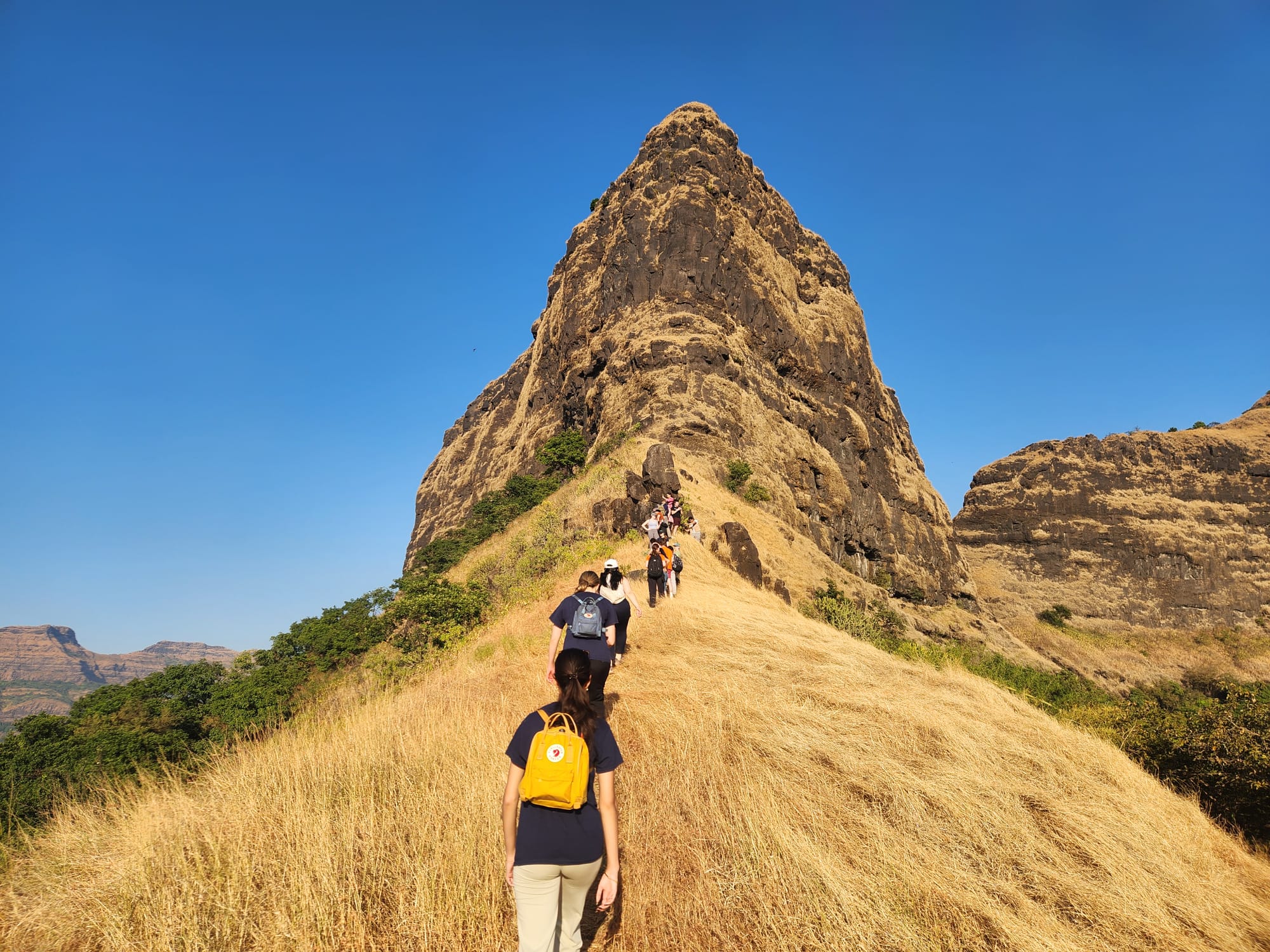 Students hiking up a mountain