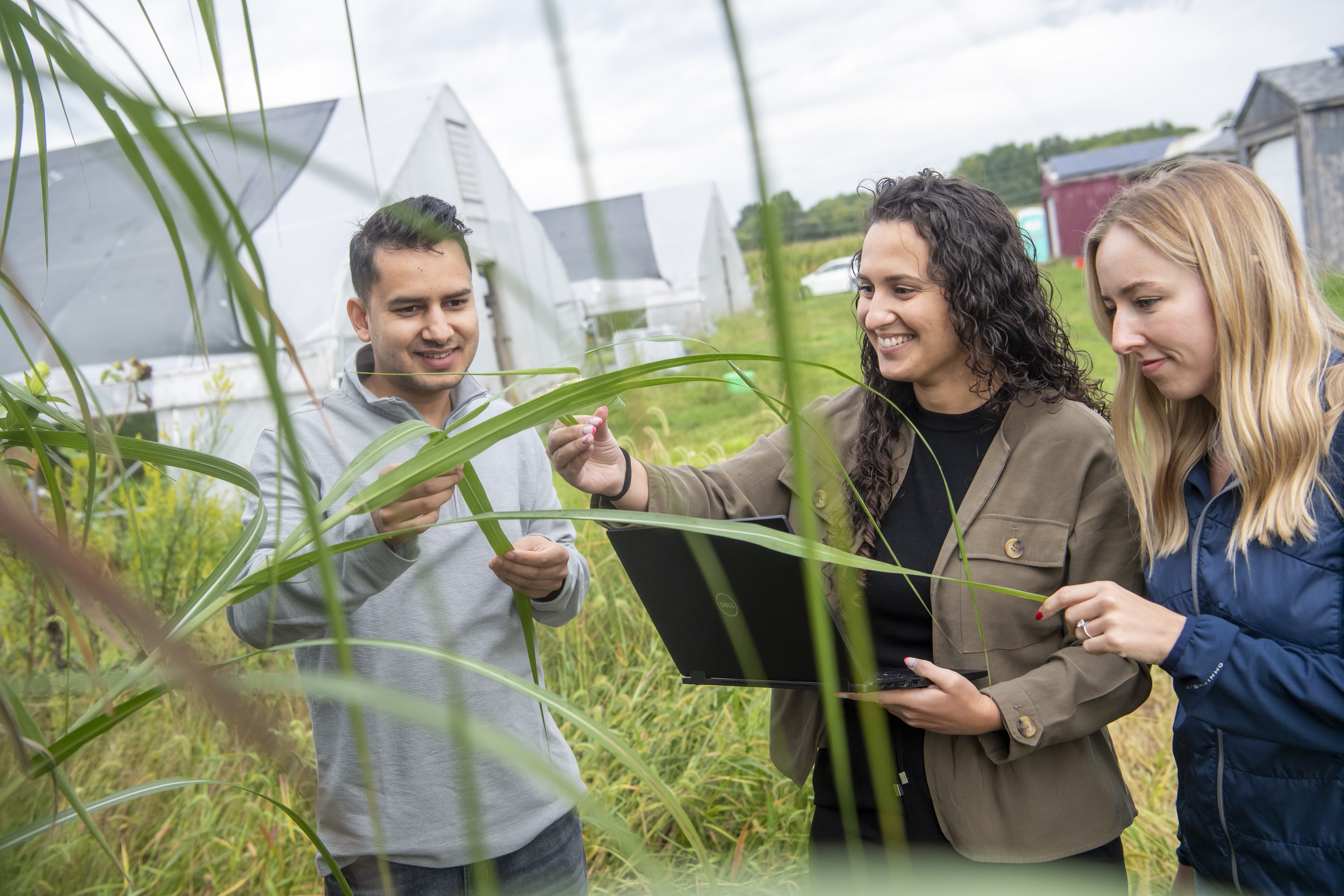 Three people examine tall green plants while one of them holds a laptop, standing outdoors near greenhouse structures.