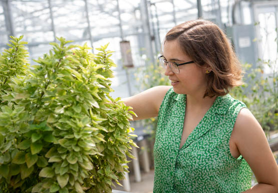 Student working in a greenhouse