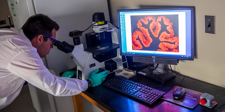 Student examining data from a microscope