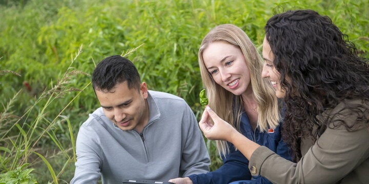 Three students working together in a field