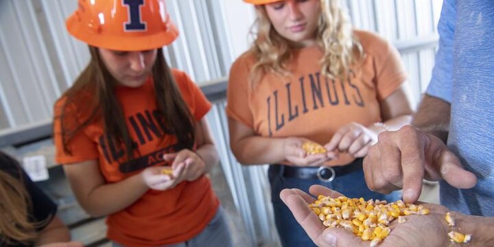 Students examining feed kernels?