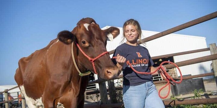 Student with a cow.