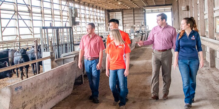 Student and faculty walking through a cattle barn.