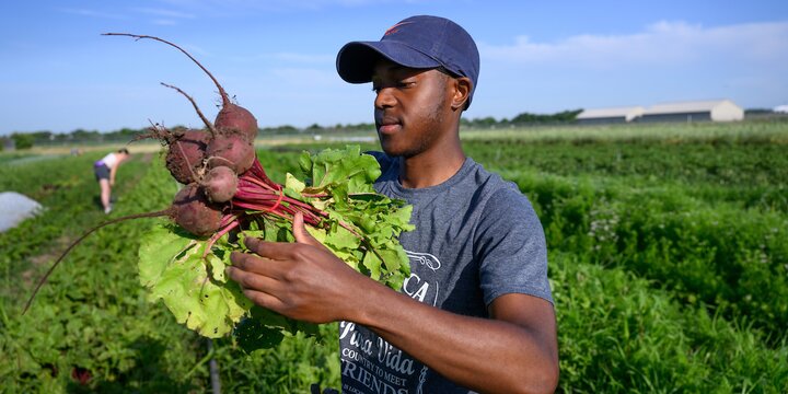 Student holding beats at the Student Sustainable Farm