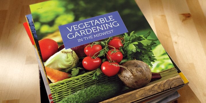 Stack of Extension books.