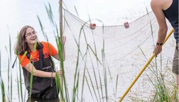 Students using a net to fish in a river.