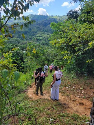 A group of people hike along a narrow trail through a lush, mountainous landscape, surrounded by greenery and distant hills under a bright blue sky.