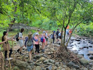 A group of people holding walking sticks hike along a rocky path beside a stream in a lush, forested area.