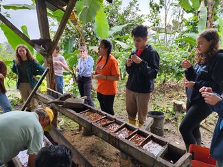 A group of people stand around a rustic setup outdoors, observing as two individuals work on processing materials in wooden troughs, surrounded by lush vegetation.