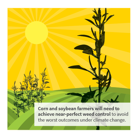 graphic of weeds sticking up through ag fields