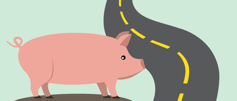 Drawing of a pig next to a paved road
