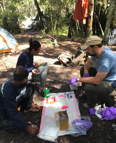 Sampling a frog