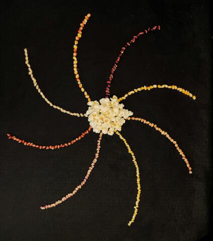 Kernels of different colored popcorn arranged in a spiral against black background