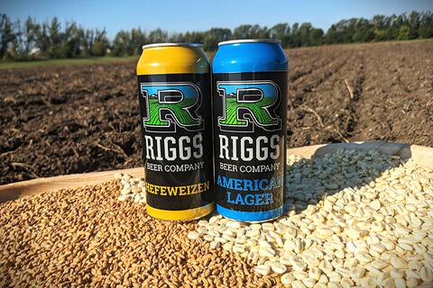 A can of Hefeweizen and American Lager sit in front of a field on top of grain.