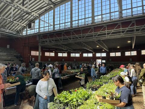 Guests pick out plants at the Spring Plant Fair