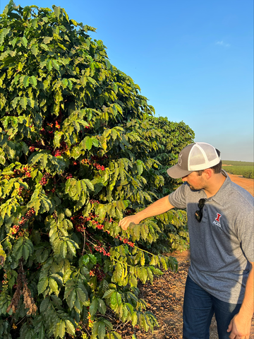 Gunnar studies a Brazilian Peppertree.