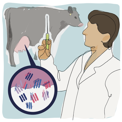 Drawing of person wearing lab coat and holding a syringe; in the background, a cow is shown, along with a schematic of proteins in her milk.