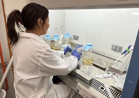 Karla Lopez working under a biosafety hood