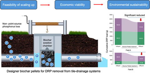 Schematic showing water flow through a phosphorus removal structure