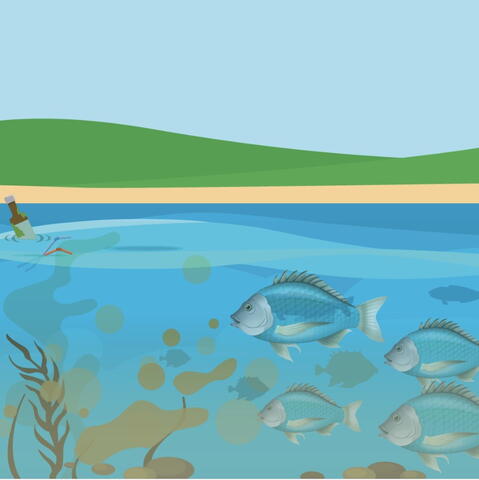 A graphic showing fish in water with brown blobs and floating debris in front of them