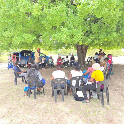 people sitting in circle under tree