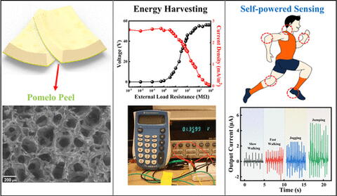 an illustration showing components of the research project