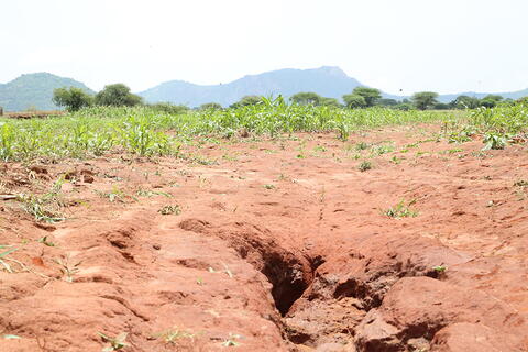 A field with a deep gully