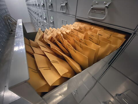An open drawer contains rows of small envelopes filled with corn seeds