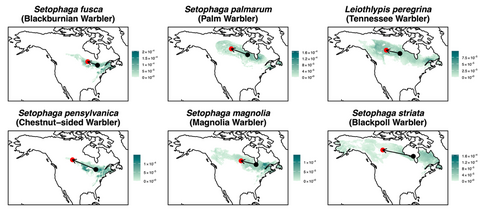 Six maps of North America with shading indicating vagrant birds' home range in Canada