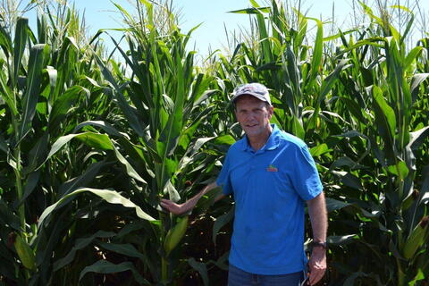 Mike Graham stands beside a field of corn. 