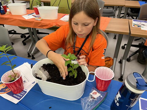A young girl in an orange t-shirt works with a soil in a white tub.