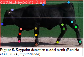 A black cow walks in front of a green screen with multi-colored dots on its legs and back.