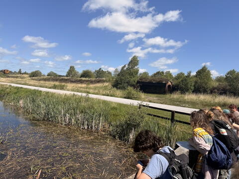 An Irish landscape with a wetland in the foreground. Students lean over a fence to peer at the wetland.