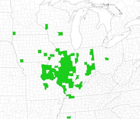 Map of the Midwest and surrounding states, with counties in green indicating locations where red crown rot has been detected. Most of Illinois is solid green.