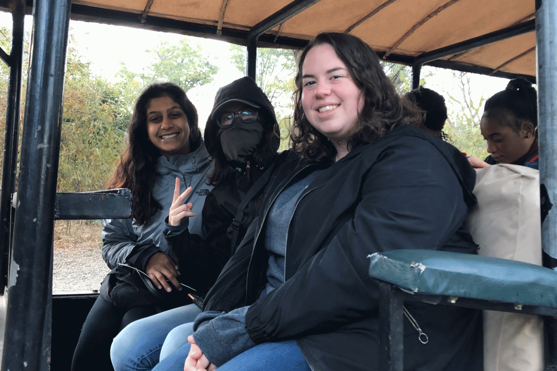 Visiting with the wild elephants