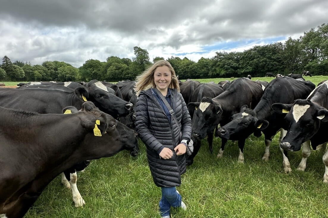 Woman stands in field surrounded by cows
