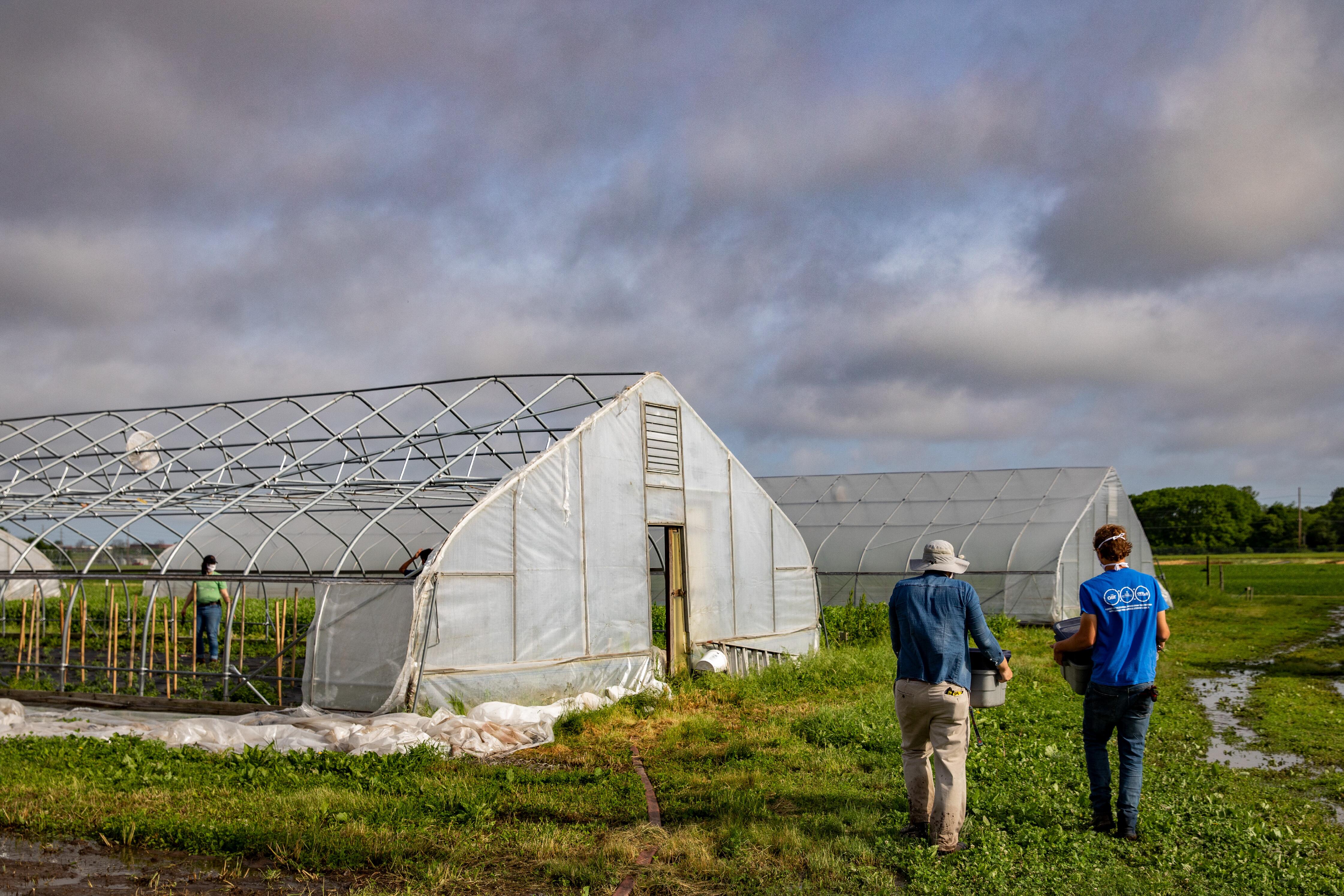 Two people stand outside the greenhouse at the Sustainable Student Farm