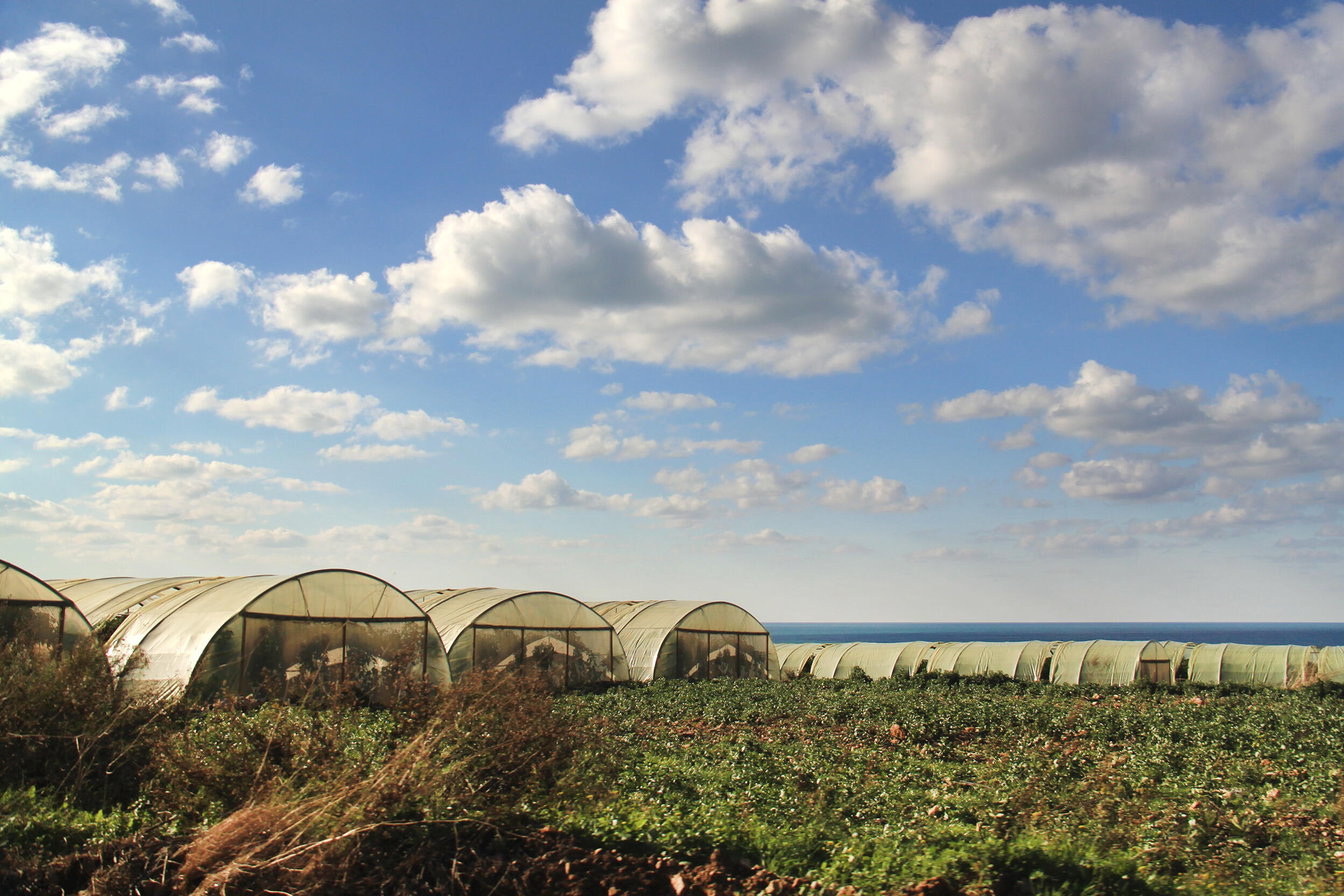 ag greenhouses